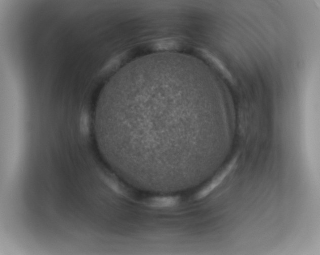 X0000113310161200909281131