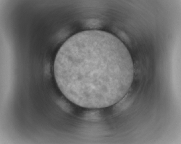 X0000113310162200909281131