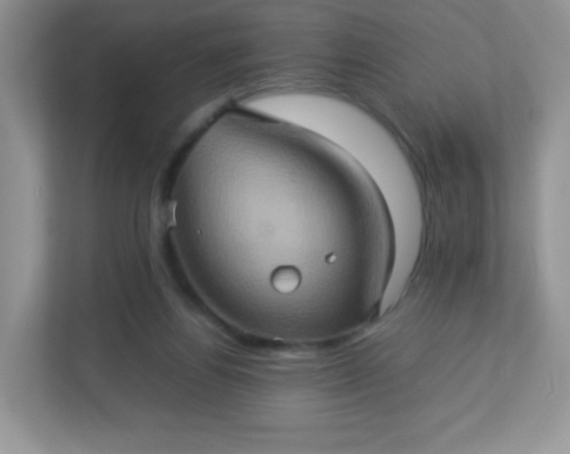 X0000113310164200909281131