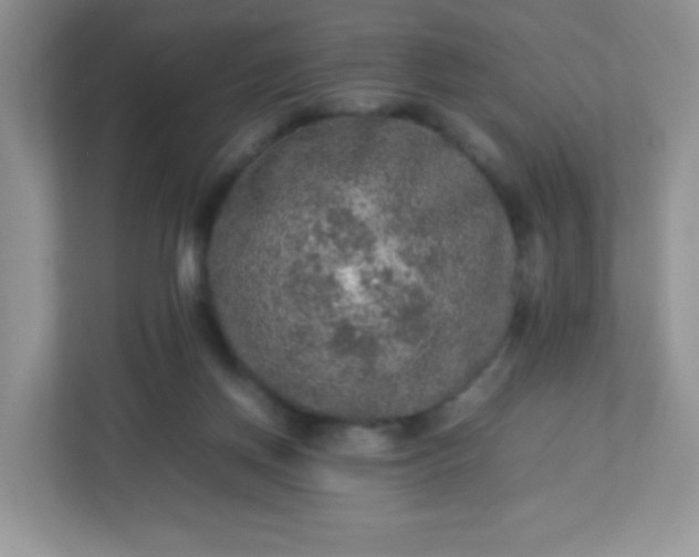 X0000113310166200909281131