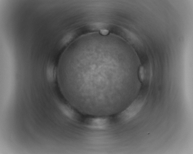 X0000113310168200909281131