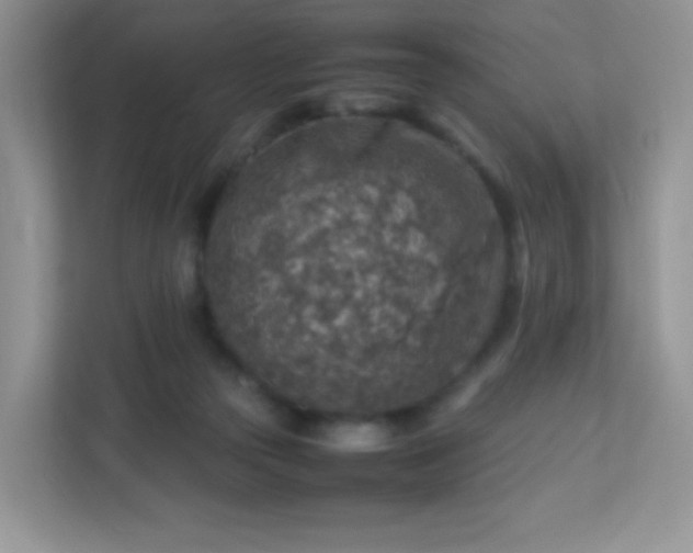 X0000113310169200909281132