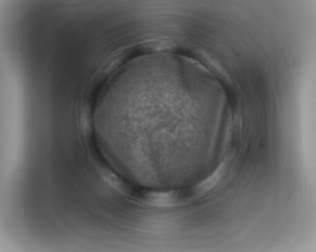 X0000113310170200909281132