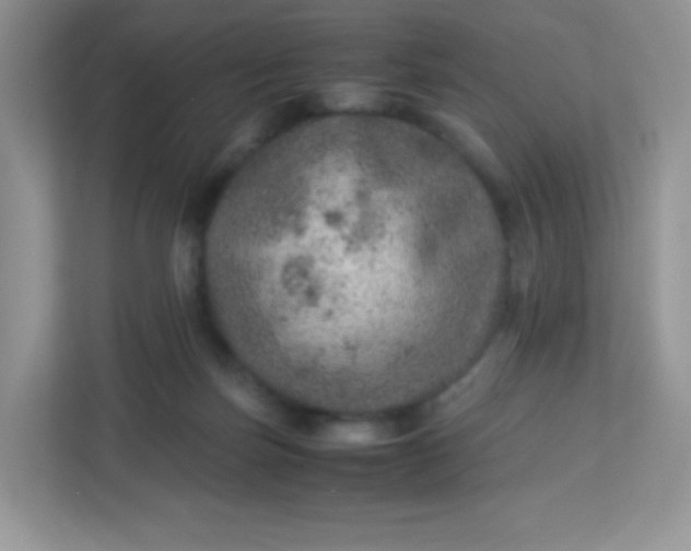 X0000113310171200909281132