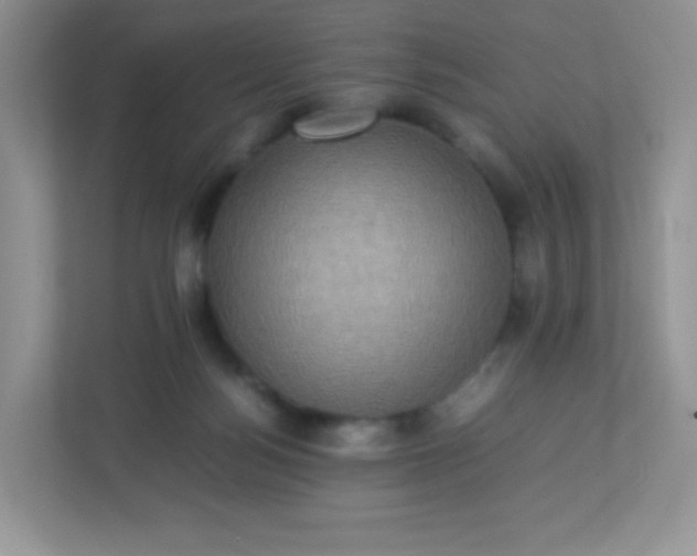 X0000113310172200909281132