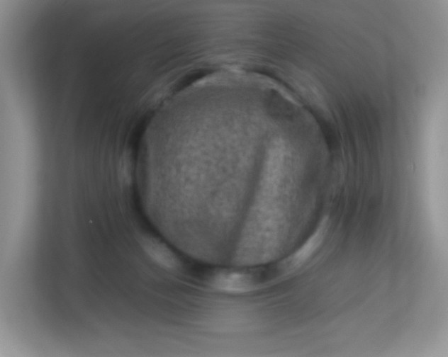 X0000113310174200909281132