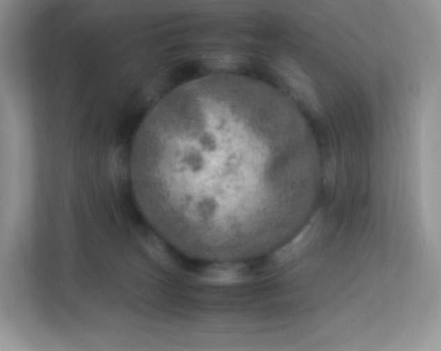 X0000113310179200909281132