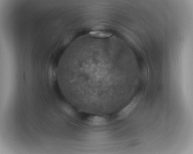 X0000113310180200909281132