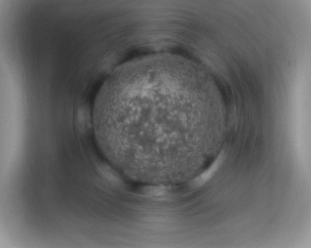 X0000113310182200909281132