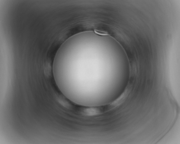 X0000113310183200909281132