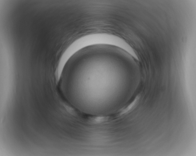 X0000113310184200909281132