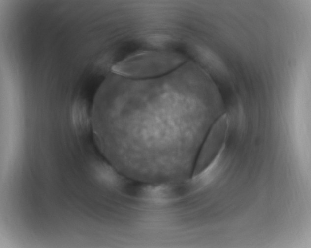 X0000113310186200909281132