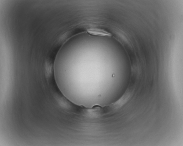 X0000113310188200909281132