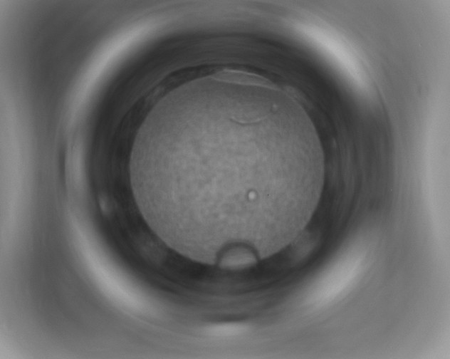 X0000113310189200909281132