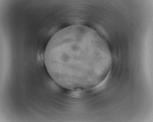 X0000113310190200909281132