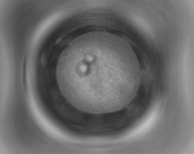 X0000113310191200909281132