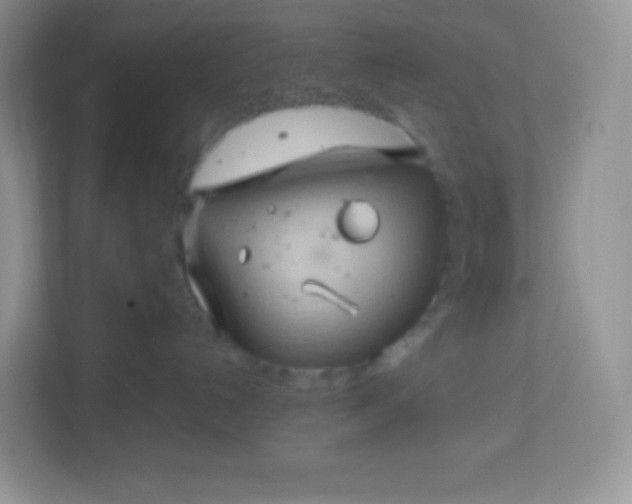 X0000113310192200909281132