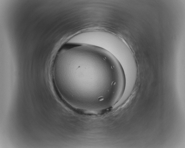 X0000113310193200909281131