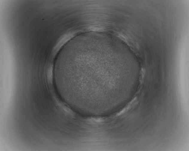 X0000113310194200909281131