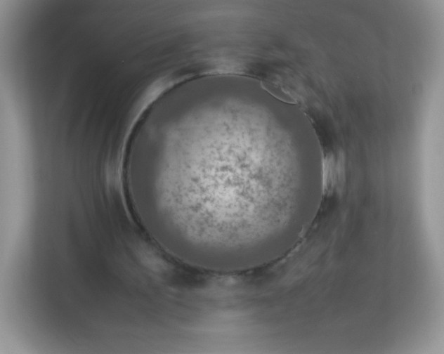 X0000113310195200909281131