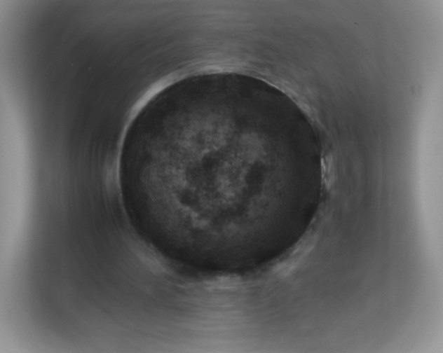 X0000113310196200909281131