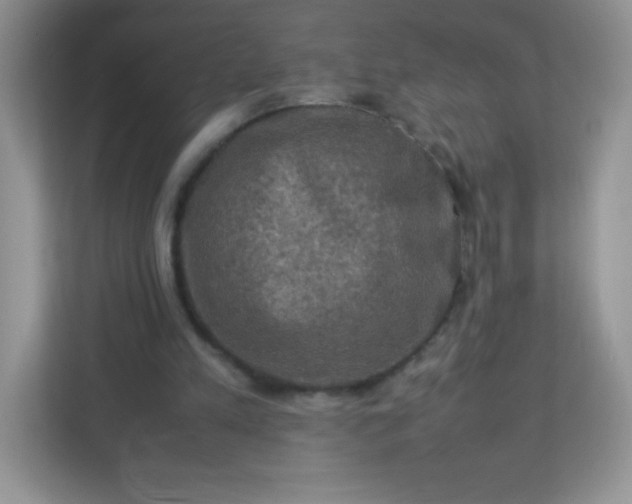 X0000113310197200909281131