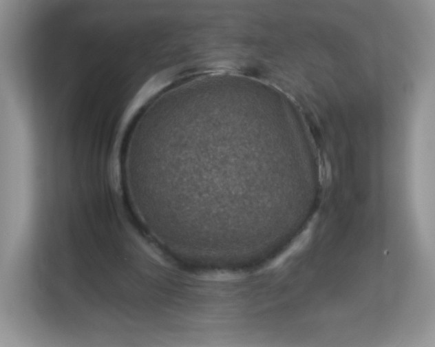 X0000113310198200909281131