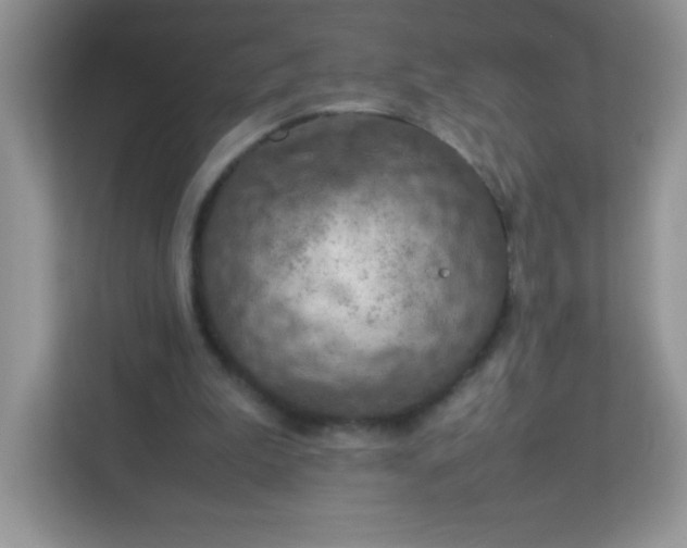 X0000113310199200909281131