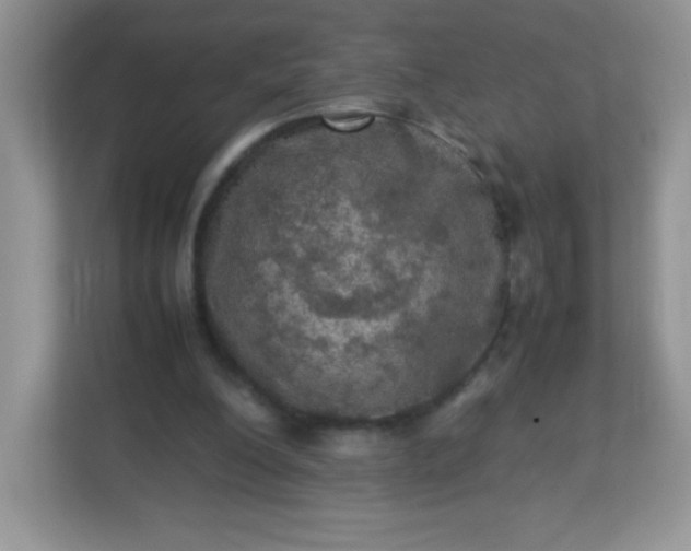 X0000113310200200909281131