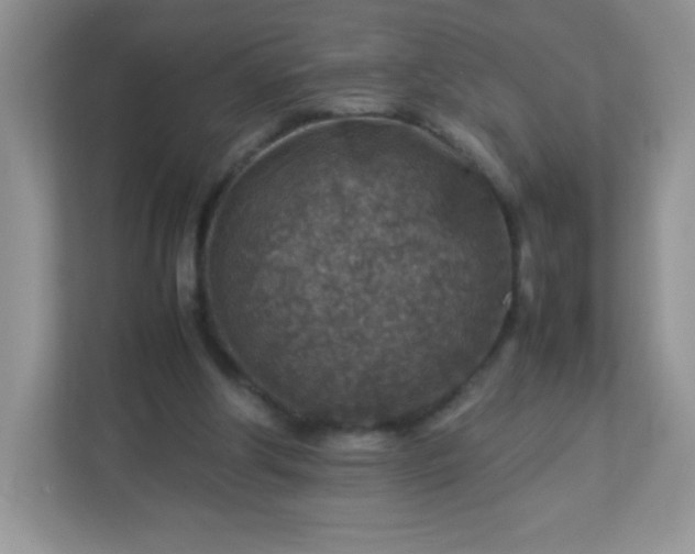 X0000113310202200909281131