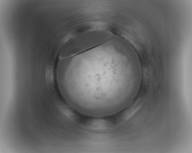 X0000113310203200909281131