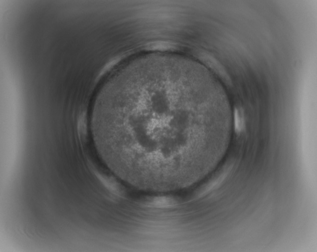 X0000113310204200909281131