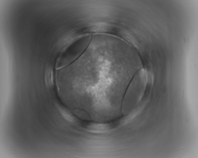 X0000113310205200909281131