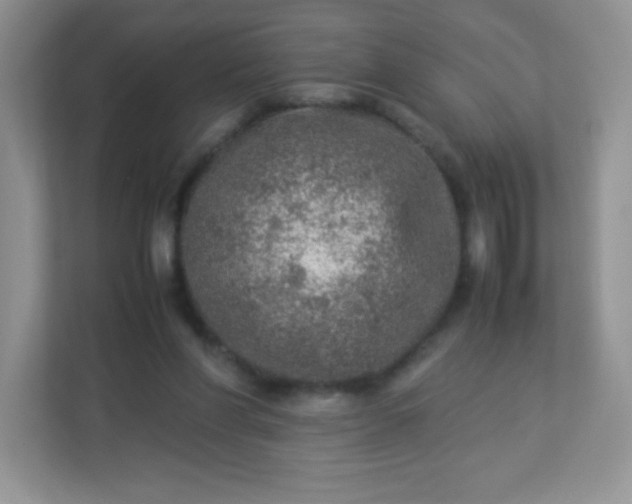 X0000113310206200909281131