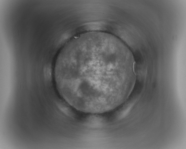 X0000113310207200909281131