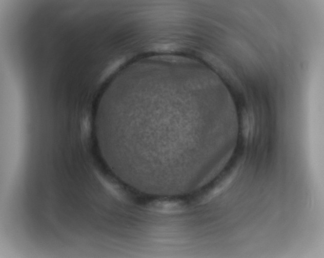 X0000113310208200909281131