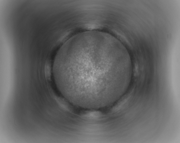 X0000113310210200909281131