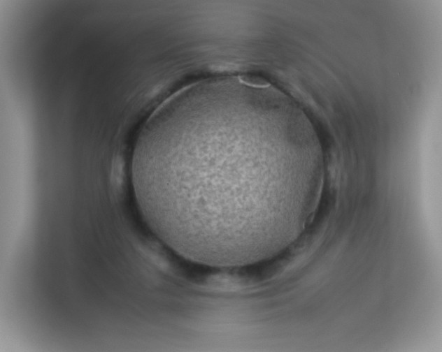 X0000113310211200909281131