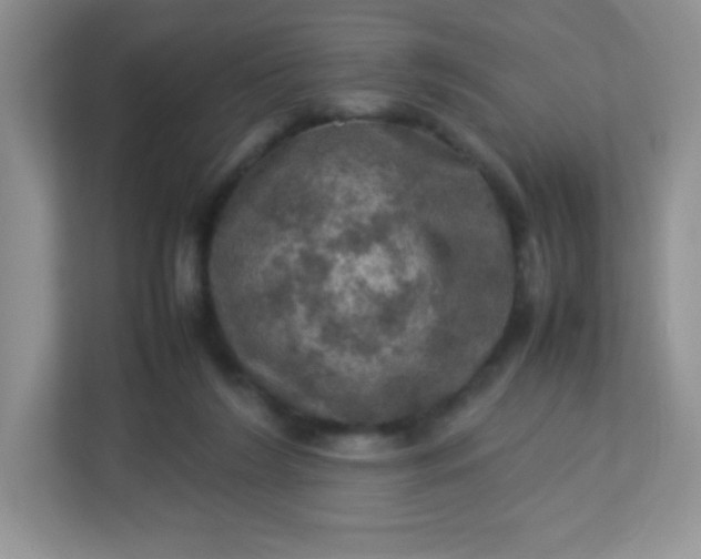 X0000113310212200909281131