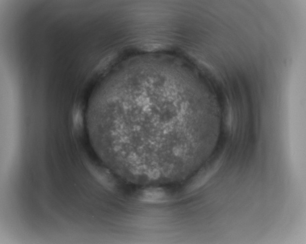 X0000113310214200909281131