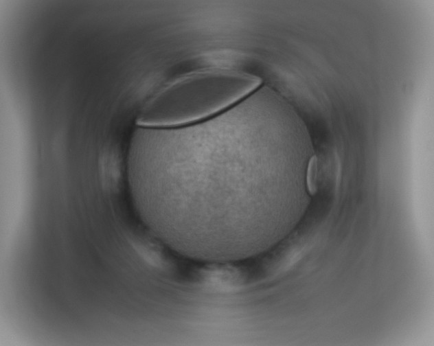 X0000113310215200909281131