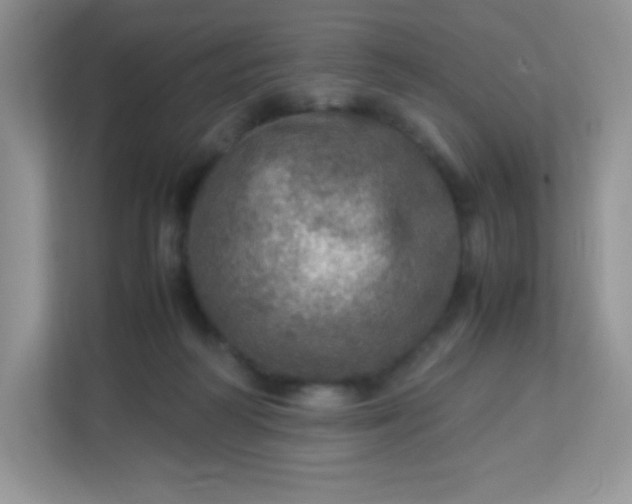 X0000113310218200909281131