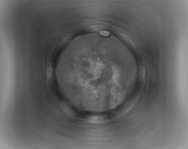 X0000113310220200909281131