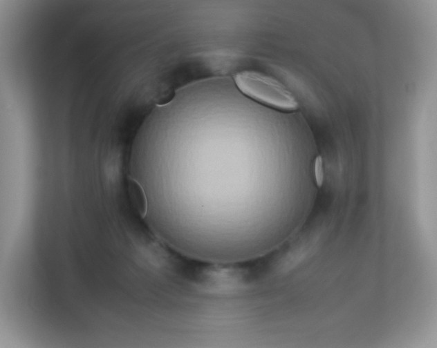 X0000113310221200909281131