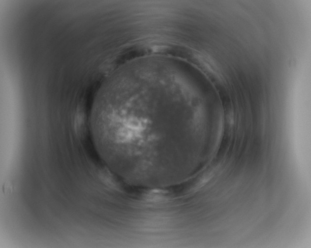 X0000113310222200909281131