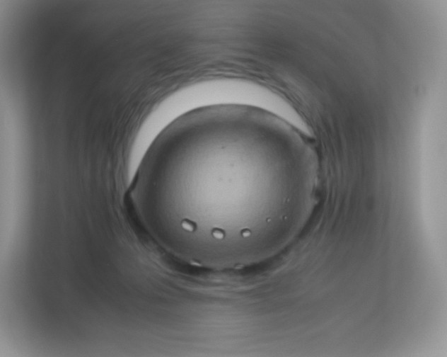 X0000113310223200909281131