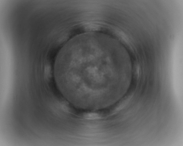 X0000113310224200909281131