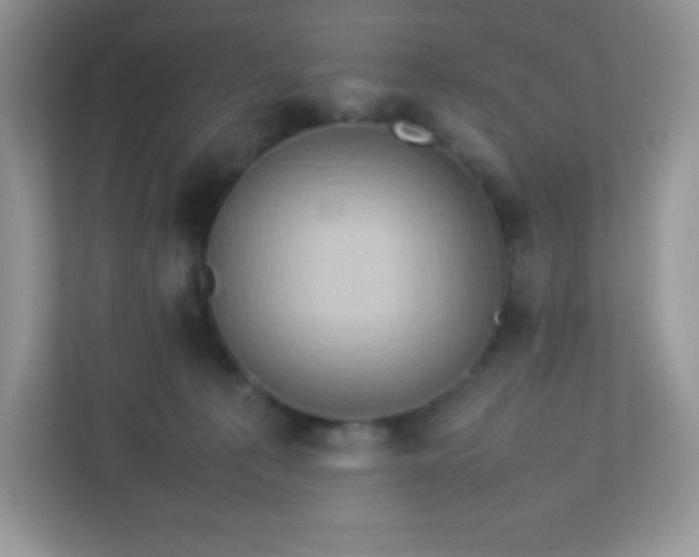 X0000113310225200909281131