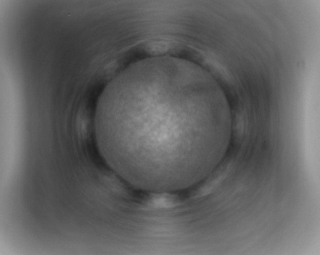 X0000113310226200909281131