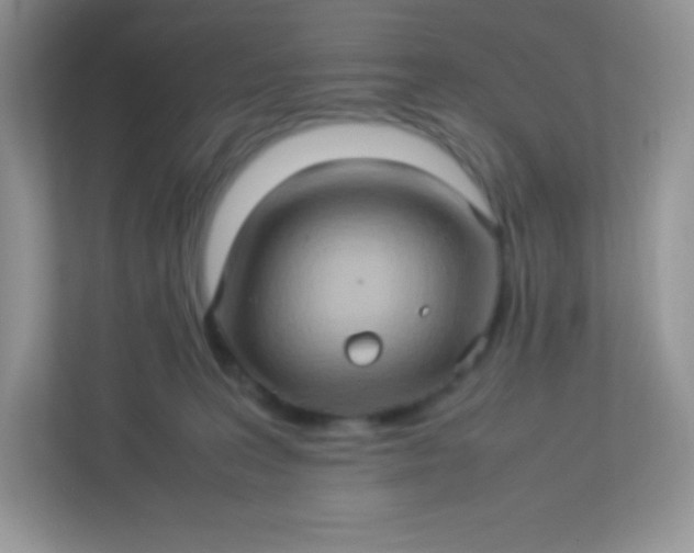 X0000113310227200909281131